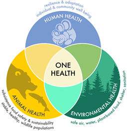 Movimiento "One Health"