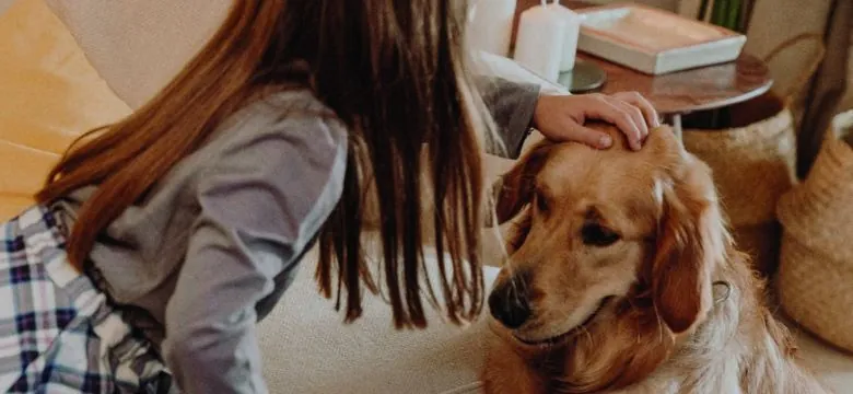 responsabilidad civil en seguros para mascotas