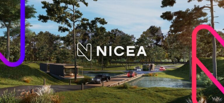 nicea marketing real estate