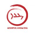 gesempor_consulting
